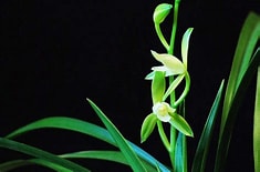 <strong>收到《复查申请书》700多天还不复查，不</strong>